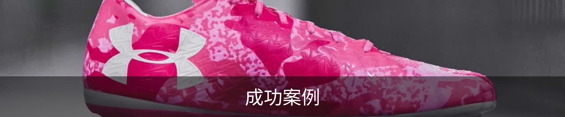 成功案例