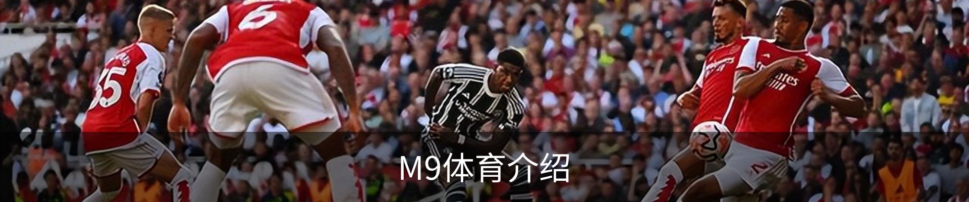 M9体育介绍